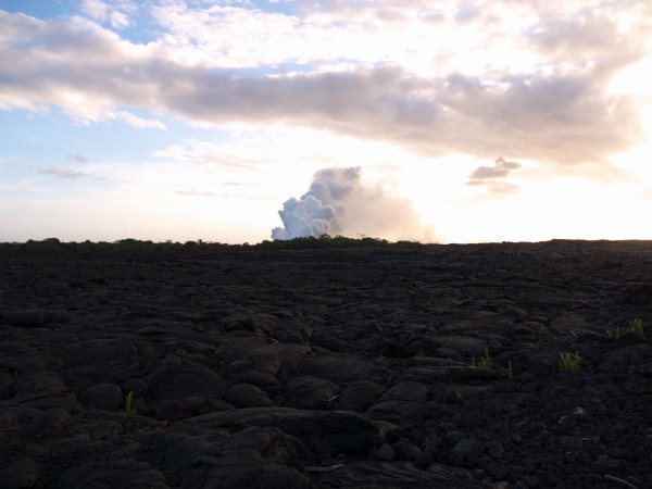 ハワイ島 キラウエア火山 カラパナ Bagus日記