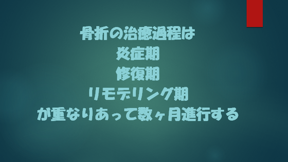 圧迫骨折が治る過程 いのち輝き塾 人が輝く 企業が輝く 地球が輝く