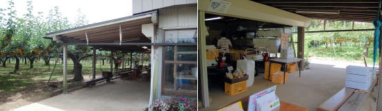 梨園レポート マル文 豊梨園 ほうりえん 八千代ナビ 気になるお店レポート