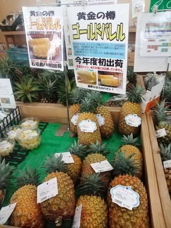 スゴイ値段のパイナップル発見 石垣島の隠れ宿 宿 八重山すてい楽楽楽 ららら