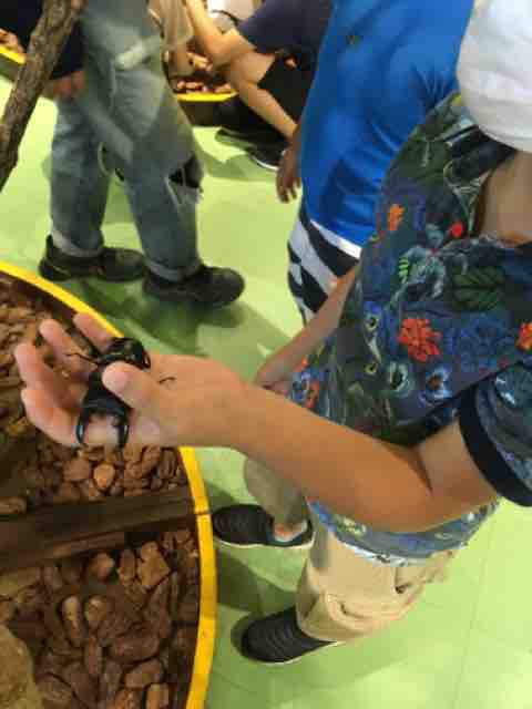 さらばとしまえん ヤギヌマ日記