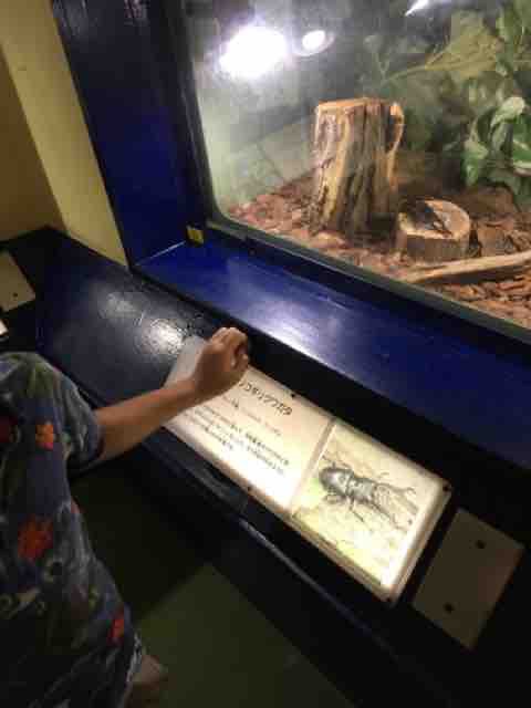 さらばとしまえん ヤギヌマ日記