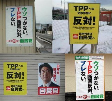 Tpp 知られざる真実 矢口壹琅 の One Love