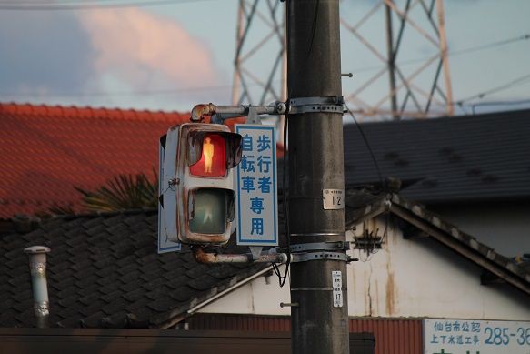 19 03 28 古い歩行者用灯器 南小泉 719系の小部屋