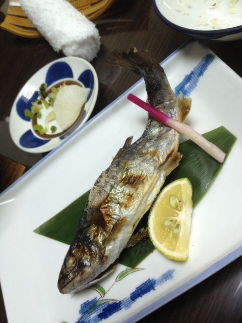 川魚の丸焼き うまいです ヤイリの遺書