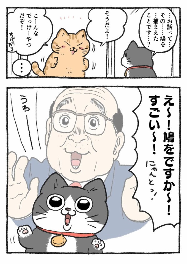 お客様の猫 | ねこ屋 寅さん Cat Breeder