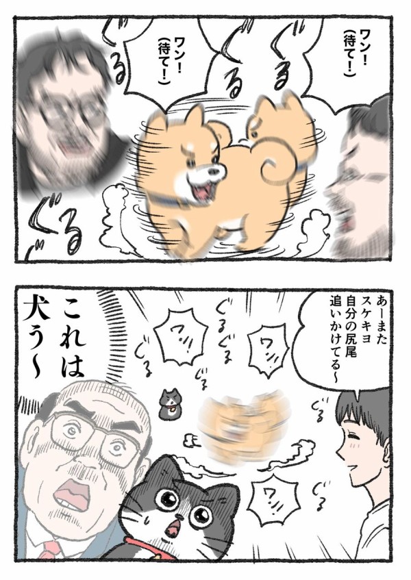 ねこさん① 猫の寅さん専用 猫の寅さん専用 猫の寅さん専用 猫の寅さん 専用 猫の