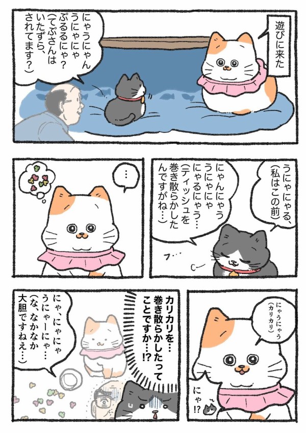 にゃん※おまとめ割してますページ 桜井海＠おじ猫15巻発売中！ on X: 