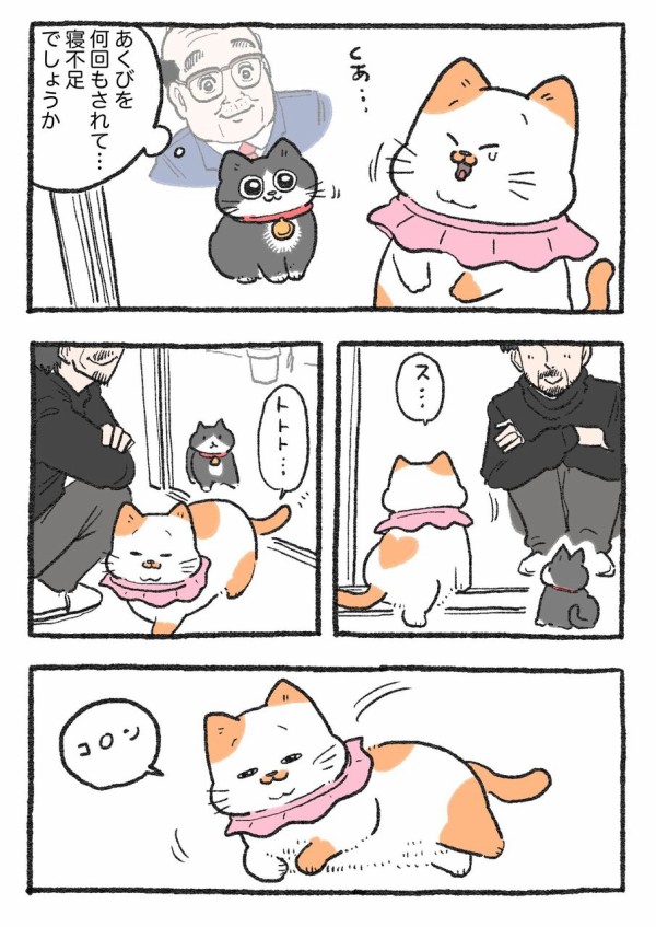 ねこに転生したおじさん。その231~240 : やじま商会 Powered by