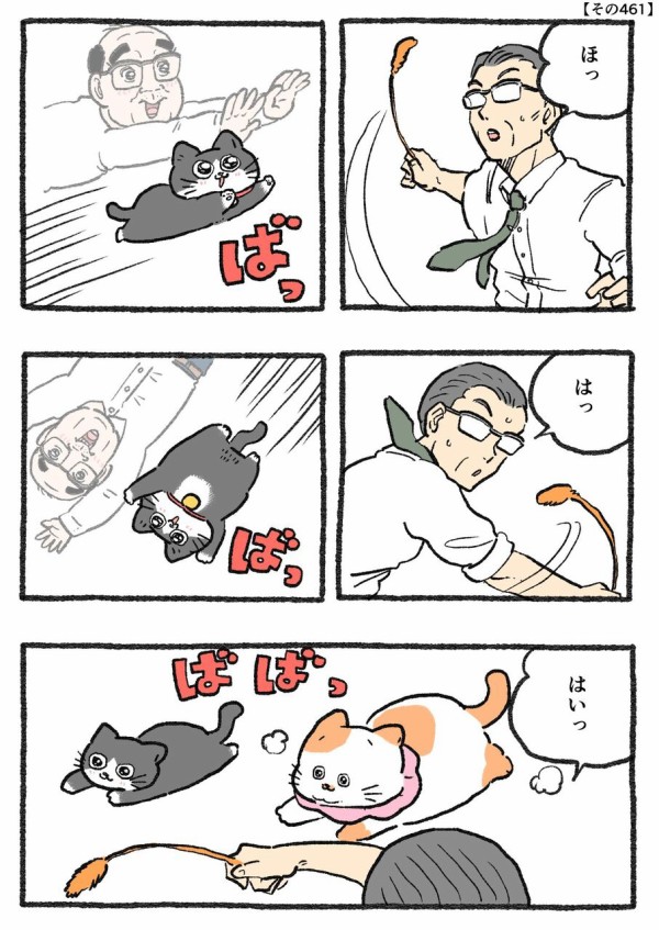 楽天市場】【5/16 10:00迄☆50円クーポン】【新作追加】ねこ肯定