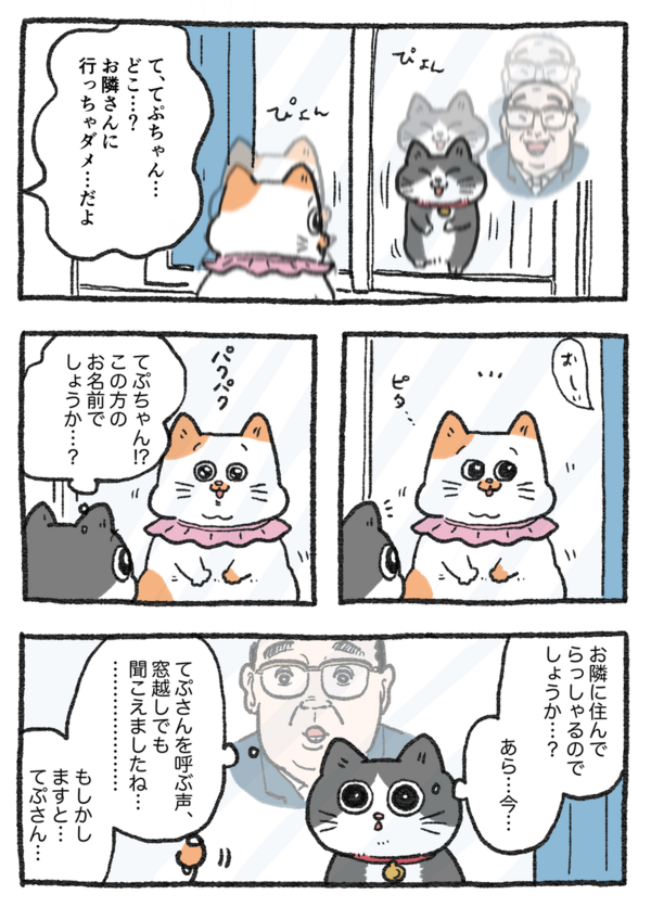 Amazon.co.jp: はま寿司 ねこに転生したおじさん ねこおじ