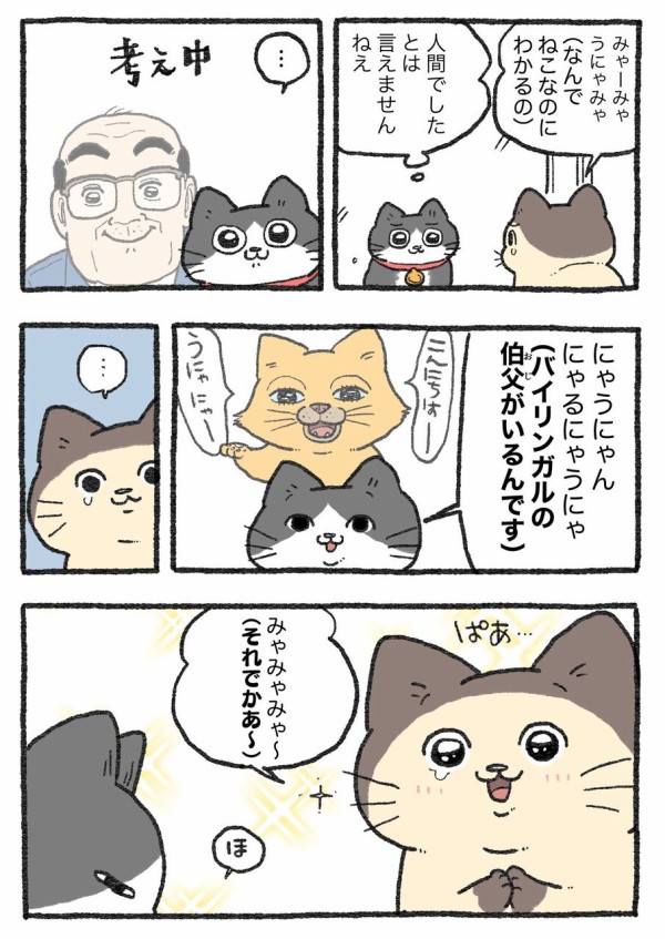 ねこに転生したおじさん。その381~390 : やじま商会 Powered by