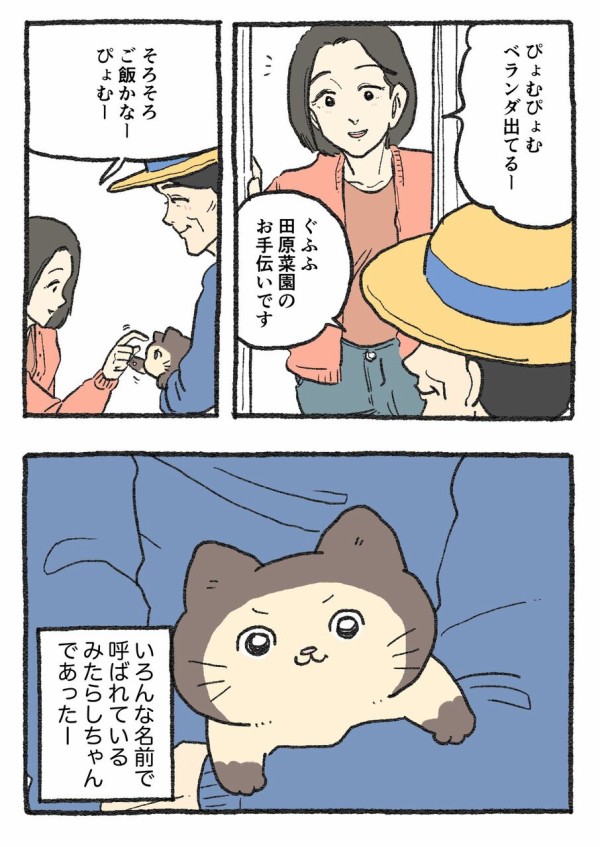 ねこに転生したおじさん。その461~470 : やじま商会 Powered by
