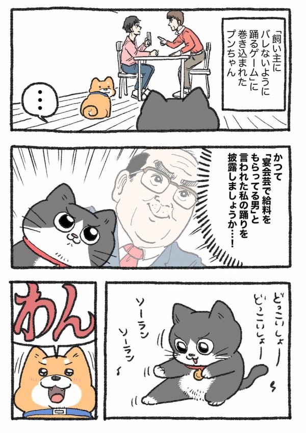 猫はかっておりません mqdefault.jpg