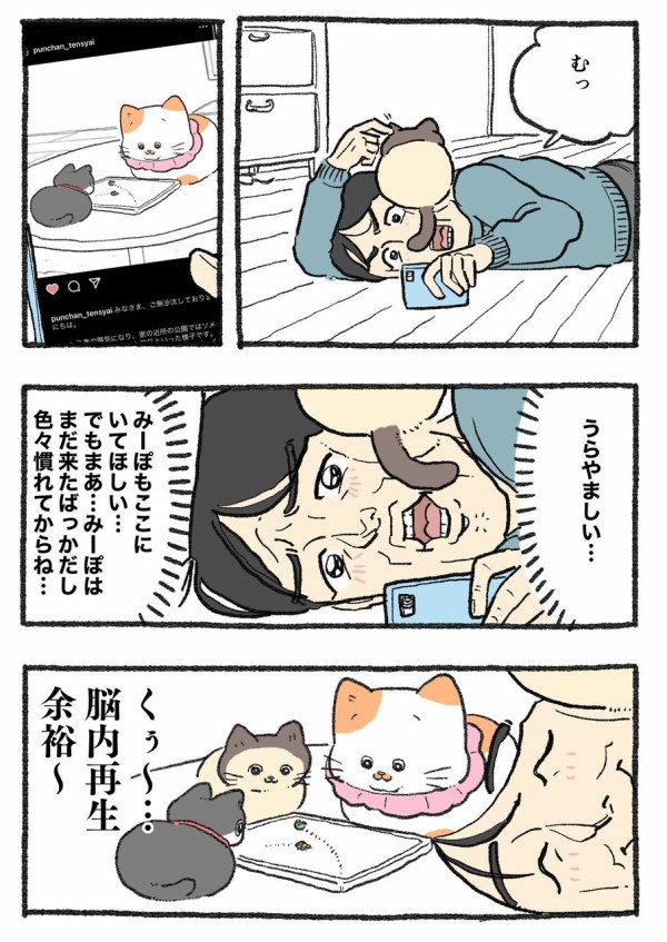 ねこに転生したおじさん。その421~430 : やじま商会 Powered by