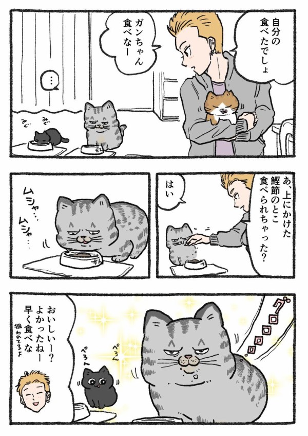 ねこ＊プロフィール必読＊ ねこのぶーちゃん メモ帳/ 高橋きの – クレコ (Creators
