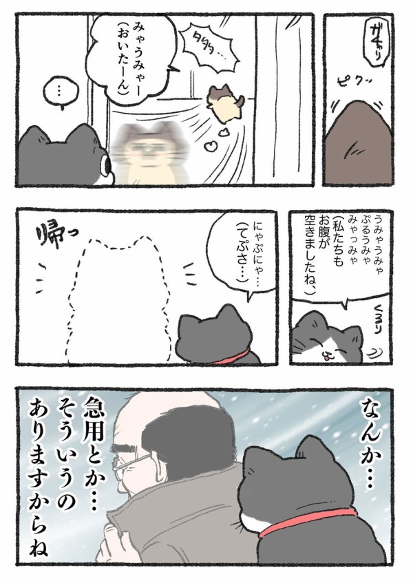 ねこに転生したおじさん。その381~390 : やじま商会 Powered by