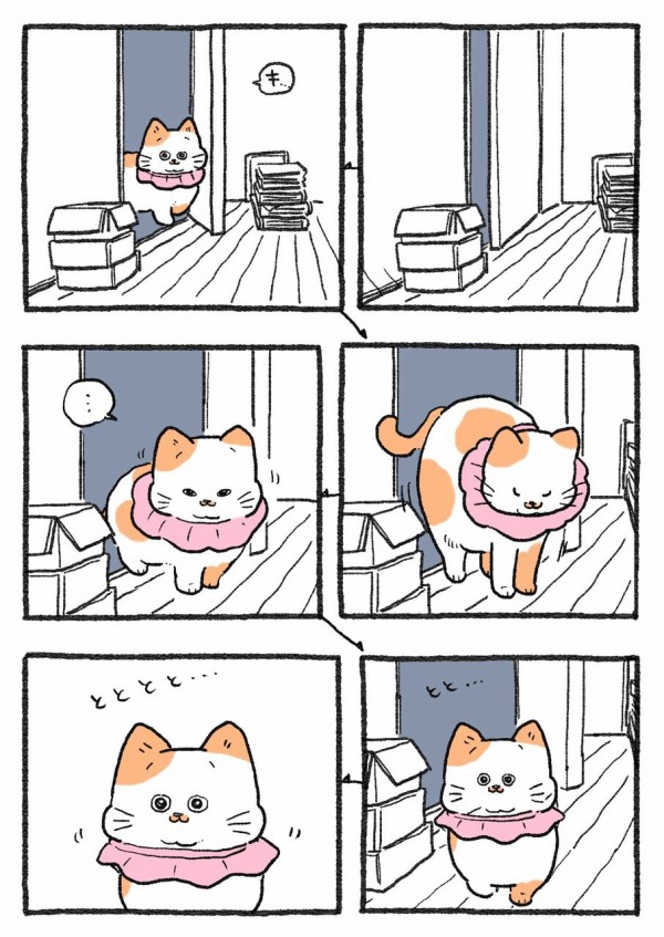 ねこに転生したおじさん。その391~400 : やじま商会 Powered by