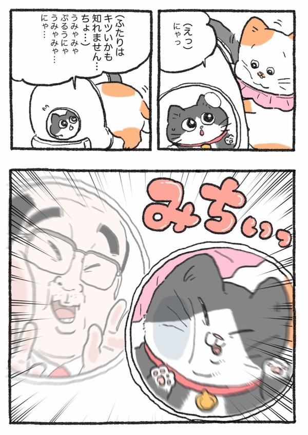 ねこに転生したおじさん。その411~420 : やじま商会 Powered by