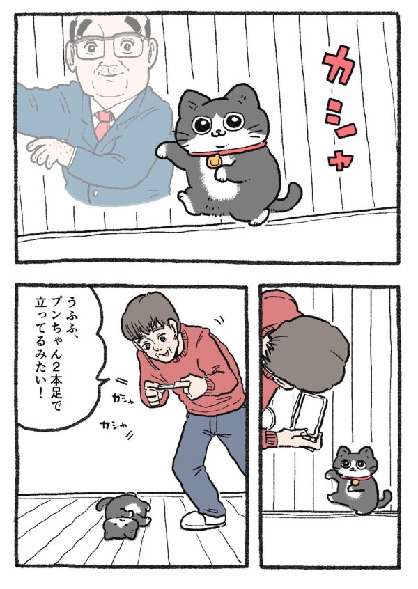 にゃん※おまとめ割してますページ TVアニメ『ねこに転生したおじさん』 - プンちゃん&おじさん