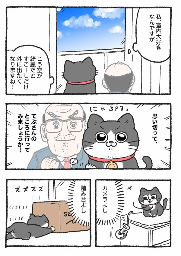 ねこに転生したおじさんその221~230 : やじま商会 Powered by