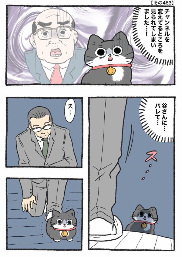 楽天市場】【期間中P10倍&クーポン配布中】ねこ肯定感 抱き