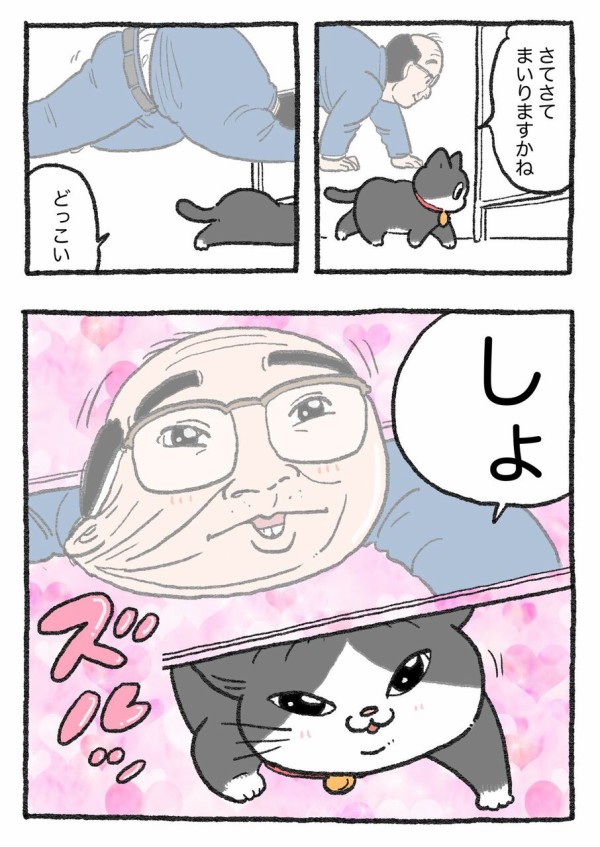 ねこに転生したおじさんその221~230 : やじま商会 Powered by