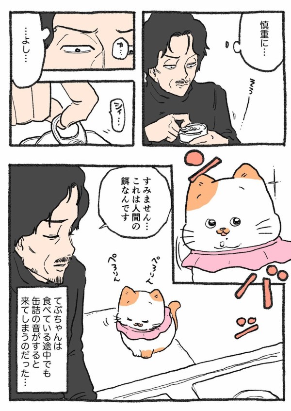 ねこに転生したおじさん。その471~480 : やじま商会 Powered by