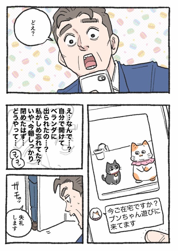 ねこに転生したおじさん。その231~240 : やじま商会 Powered by