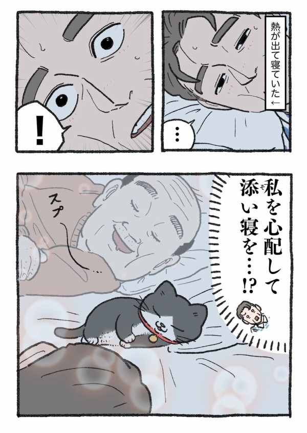 ねこに転生したおじさんその221~230 : やじま商会 Powered by