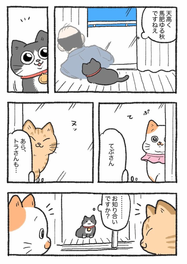 ねこに転生したおじさん。その251~260 : やじま商会 Powered by ライブドアブログ