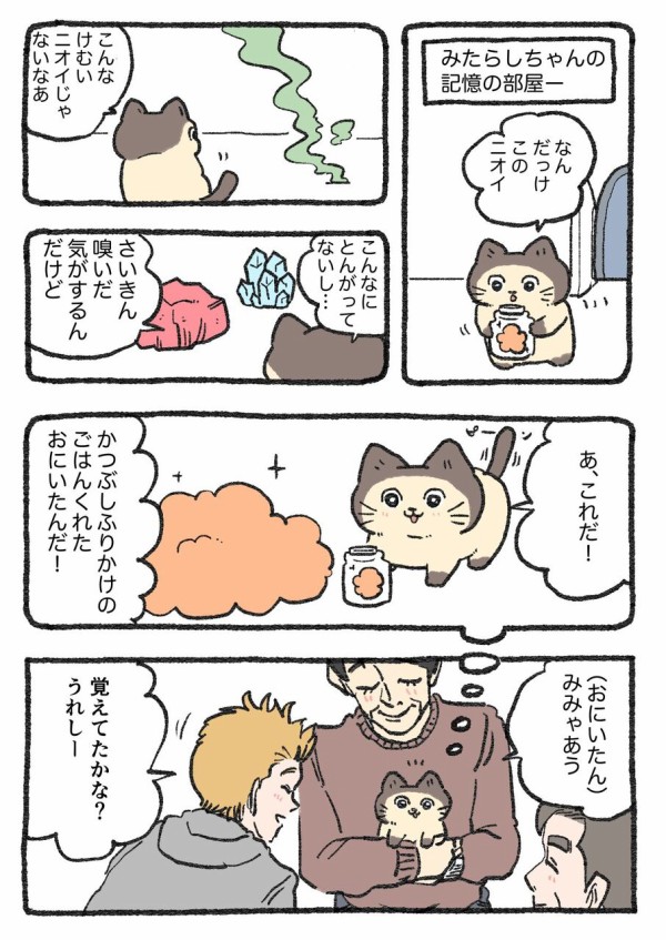 ねこ兄さん専用です。

未使用
傷はないです A cat that never shares the box. - YouTube