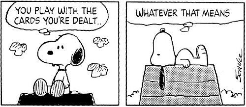 スヌーピー 配られたカードで勝負するしかないのさ ワイ 日刊やきう速報