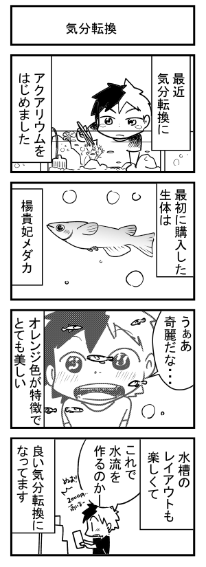 日常4コマ 密かにアクアリウム デジタル漫画家見習い中 Powered By ライブドアブログ