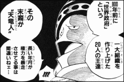 ワンピース 世界政府と王族 ヤマカムセカンド