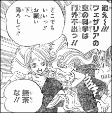 ワンピース 飛ばされた仲間たち ヤマカムセカンド