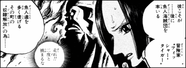 ワンピース 魚人海賊団に胸熱 ヤマカムセカンド