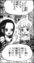 ワンピース アマゾン リリーに胸熱 ヤマカムセカンド