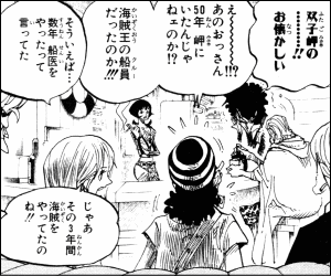 ワンピース ロビンとチョッパーは再出発の島にどうやって来たのか ヤマカムセカンド