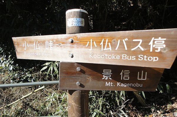 雪山 景信山 茶屋のワンコも元気です ちょっとずつ登って行こう