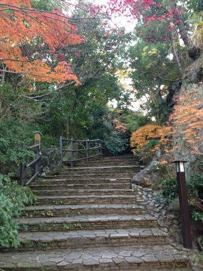 湯河原 万葉公園 紅葉鑑賞 定年親父の気まぐれブログ