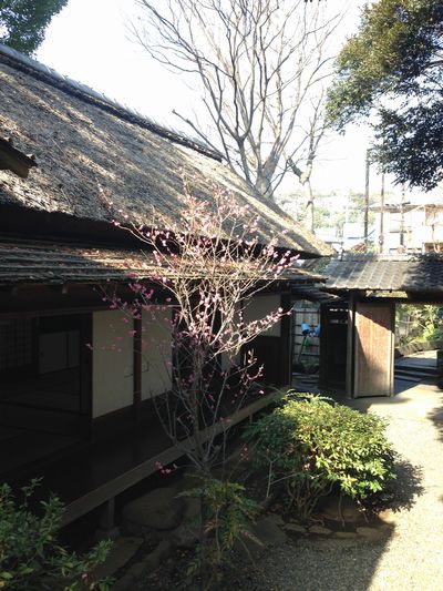 大磯 散策 鴫立庵 しぎたつあん 他 定年親父の気まぐれブログ