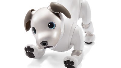 ソニーがAI搭載の新型「aibo(アイボ)」を発表、ただしクラウド連携で飼うには有料プラン加入が必須 ～GIGAZINE : ヤマネの森  Livedoor