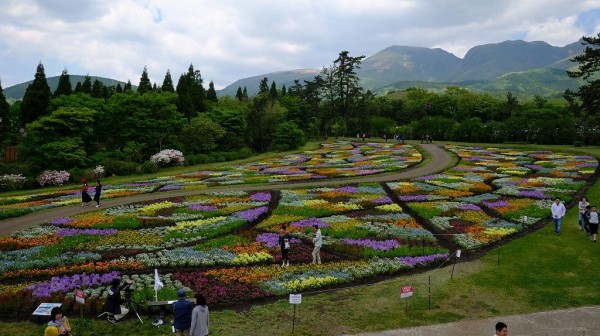 初めての花公園 山楽日記と下界通信