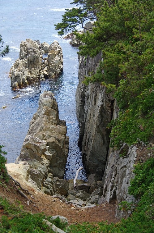 2017.6.4 田代島：正島山（宮城・牡鹿半島） : （続）東北の山遊び