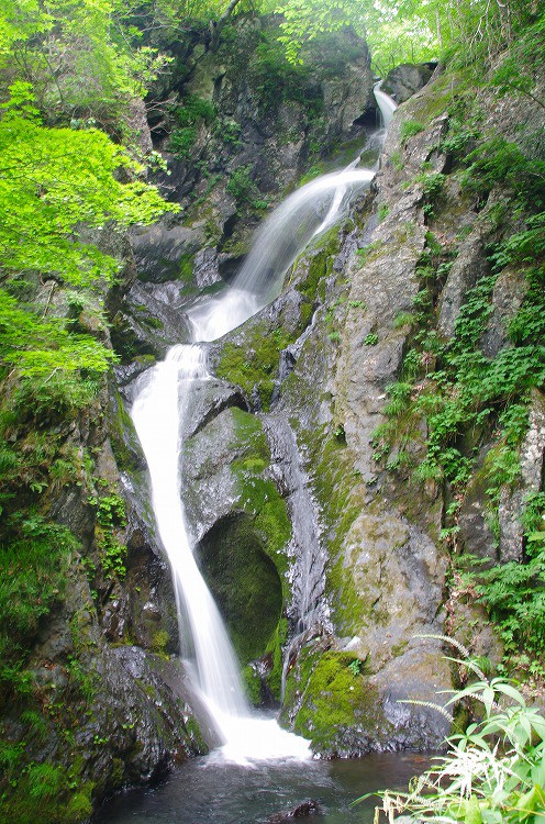 15 7 5 早池峰山から鶏頭山 岩手 北上山地 続 東北の山遊び