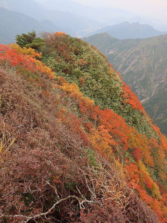 年10月2 3日 小出俣山 谷川岳3 みー猫の山旅風景写真