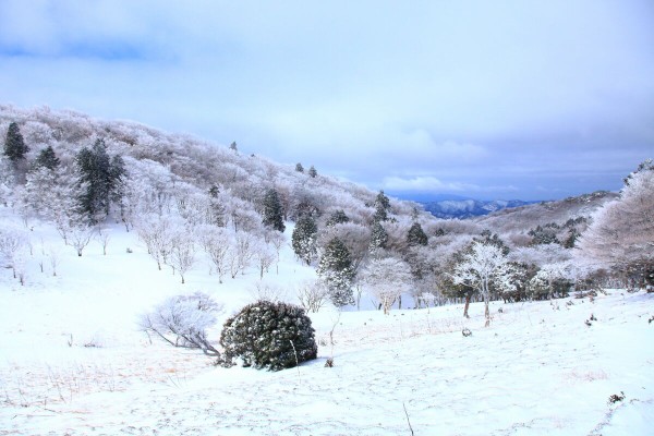 霧氷の三峰山 １２３５ ４ｍ 登山 21年2月19日 金 山とカメラと二人旅