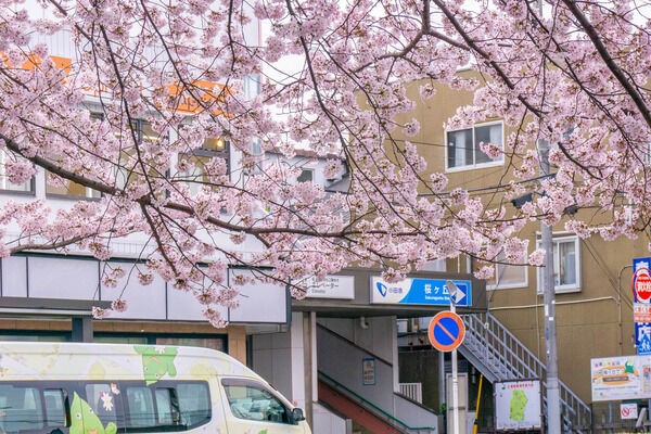 桜ヶ丘駅の開業前に予定されてた駅名はなに やまとクイズ 大和とぴっく やまとぴ