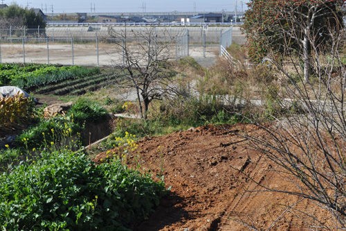 [最も選択された] あっっぷっぷ 218428